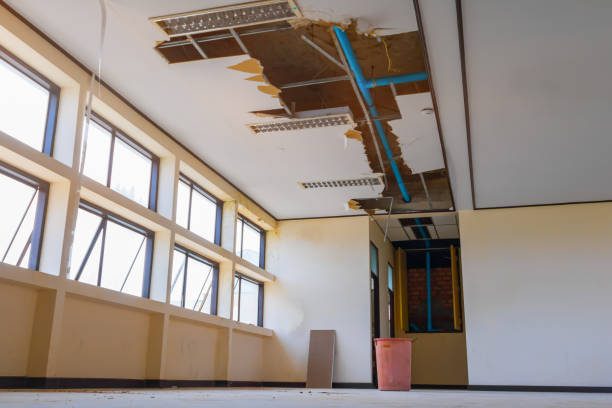 Best Water damage contractors near me  in Orida City, FL