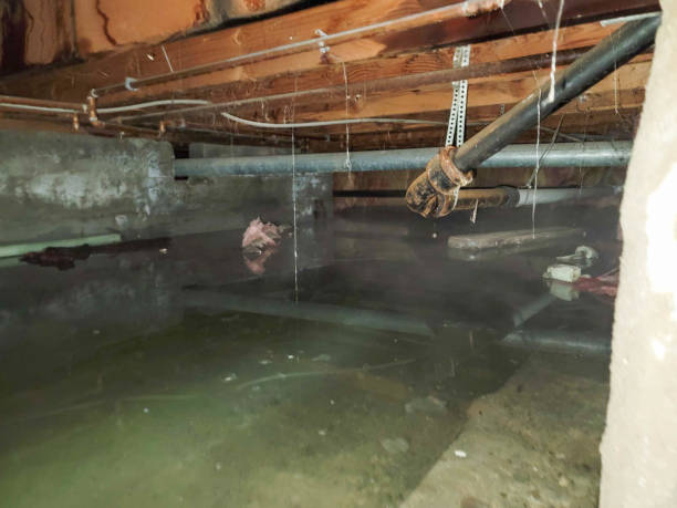 Best Residential water damage restoration  in Orida City, FL