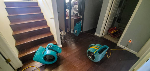 Best Water damage repair service  in Orida City, FL