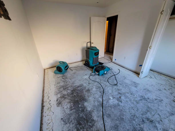 Best 24-hour water damage restoration  in Orida City, FL