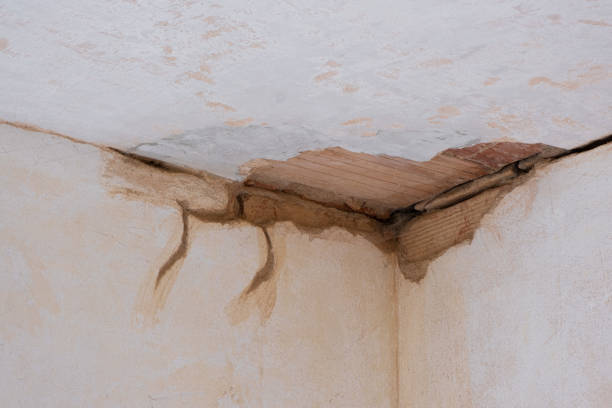 Best Flood damage cleanup  in Orida City, FL