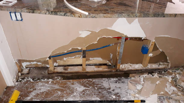 Best Professional water damage repair  in Orida City, FL