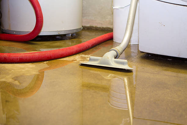 Best Fire Damage Restoration  in Orida City, FL