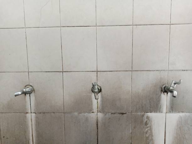 Water damage restoration mold remediation in Florida City, FL