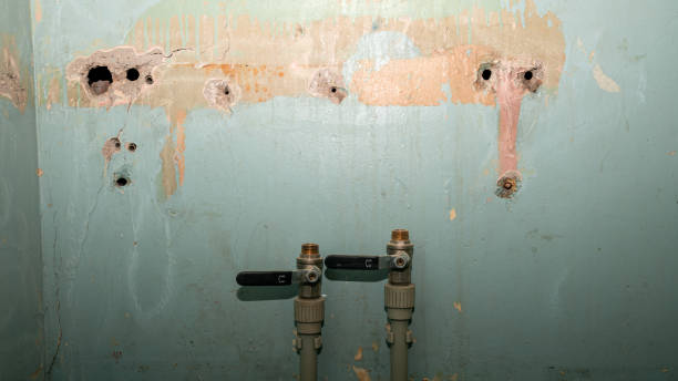 Best Flooded house restoration  in Orida City, FL