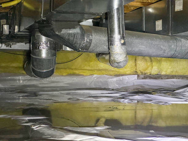 Best Professional water damage repair  in Orida City, FL