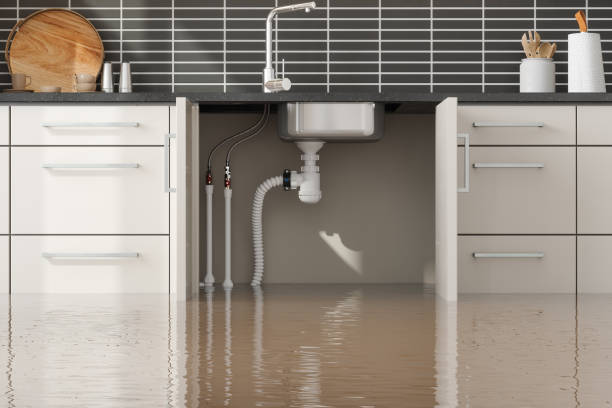 Best Water damage contractors near me  in Orida City, FL