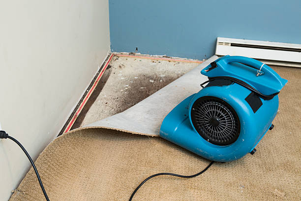 Best Water damage restoration near me  in Orida City, FL